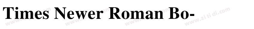 Times Newer Roman Bo字体转换